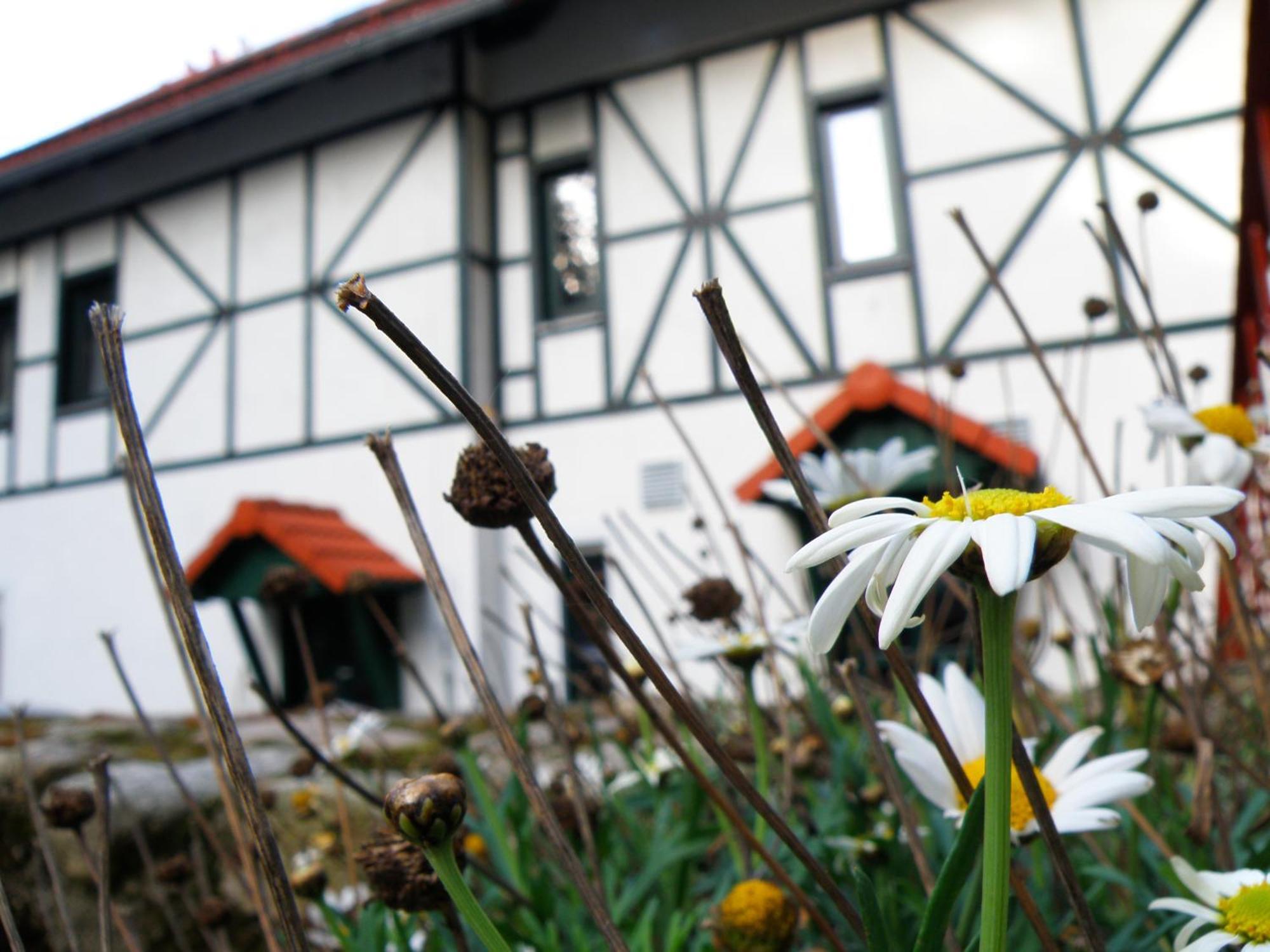 Bed and Breakfast Dom Potok Karpacz Exterior foto